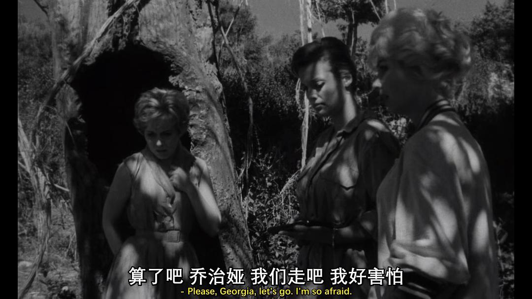恐怖蜘蛛岛 剧照5