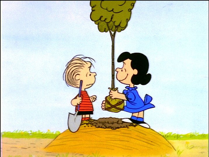 Its Arbor Day, Charlie Brown 剧照2