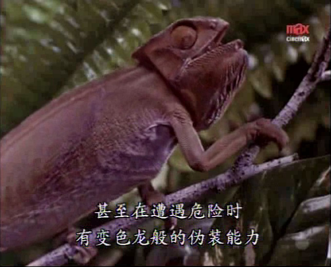迅雷先锋 剧照9