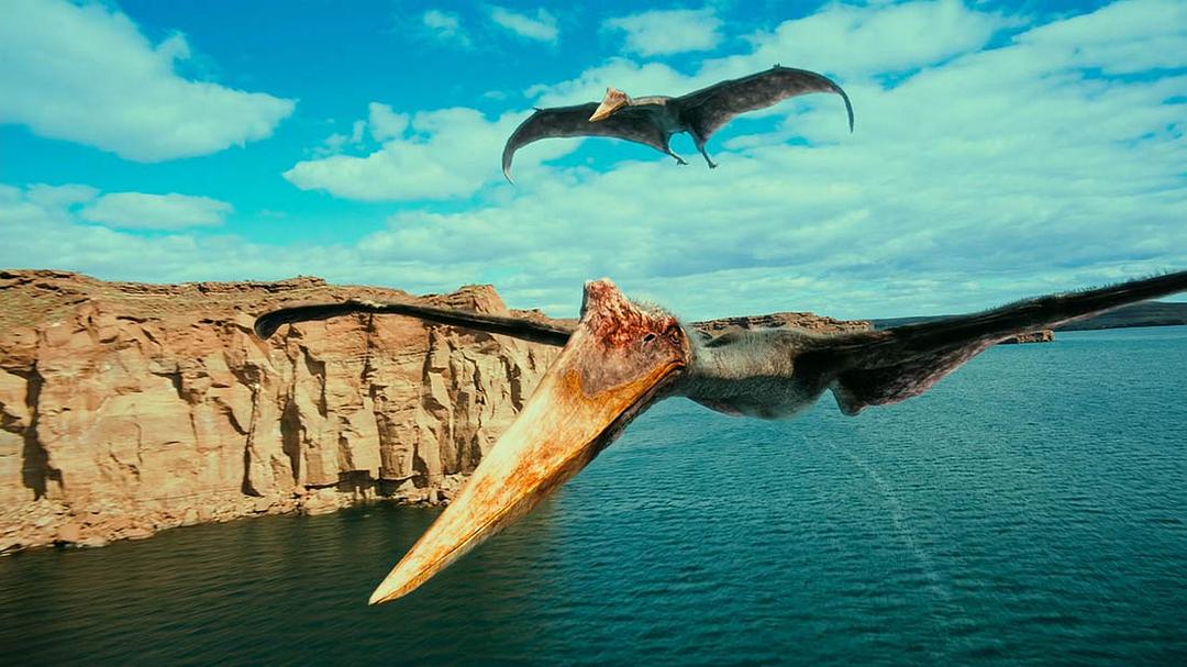 恐龙:巴塔哥尼亚的巨兽 剧照5
