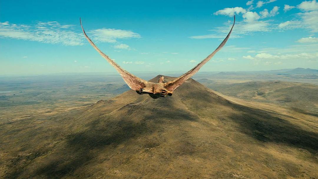 恐龙:巴塔哥尼亚的巨兽 剧照10